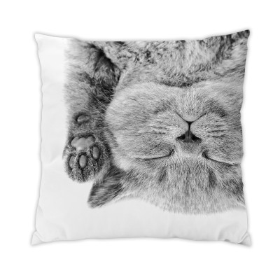 Coussin Chat 1