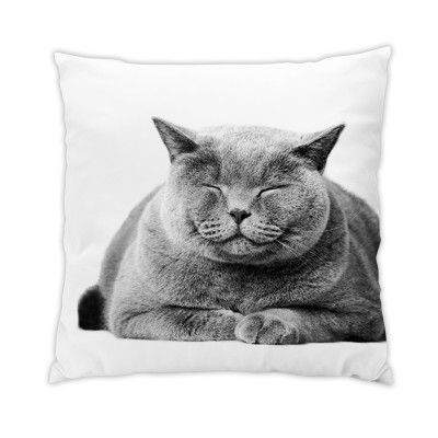 Coussin Chat 2